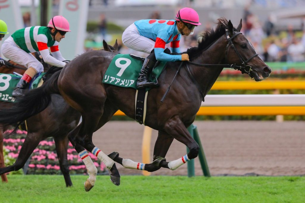 阪神ジュベナイルフィリーズ19予想 結論 確勝競馬 競馬予想ブログ