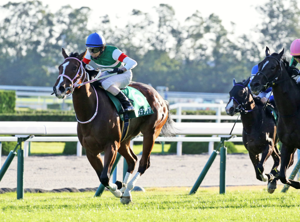【NHKマイルカップ2020予想】最終結論 │ 確勝競馬【競馬予想 ...