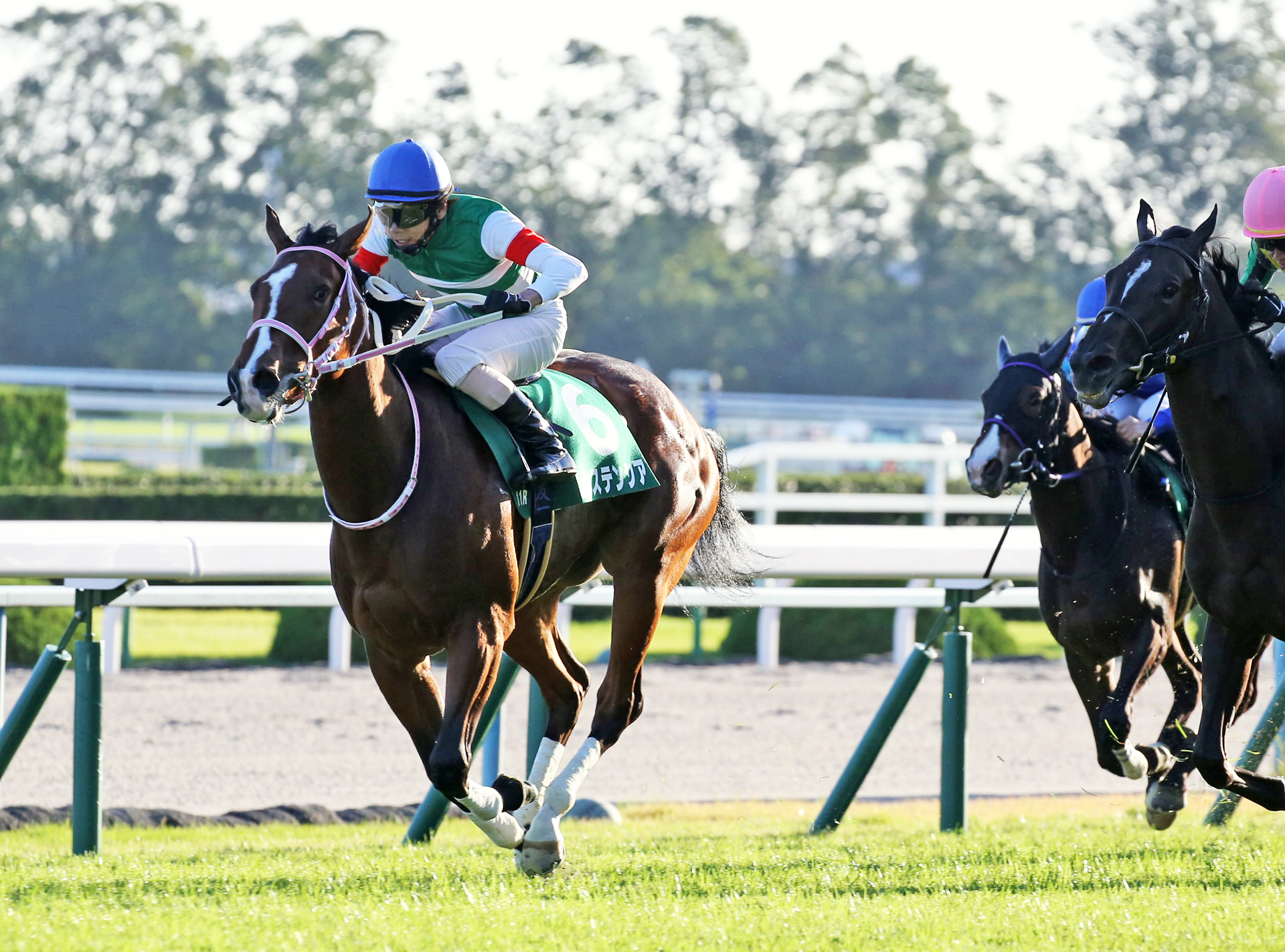 nhkマイルカップ予想 最終結論 確勝競馬 競馬予想ブログ nhkマイルカップ予想 最終結論 確勝競馬 競馬予想ブログ