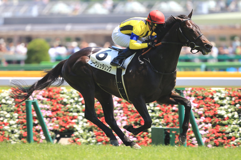 ã¨ãã½ã ã«ãã æçµçµè« ç¢ºåç«¶é¦¬ ç«¶é¦¬äºæ³ãã­ã°